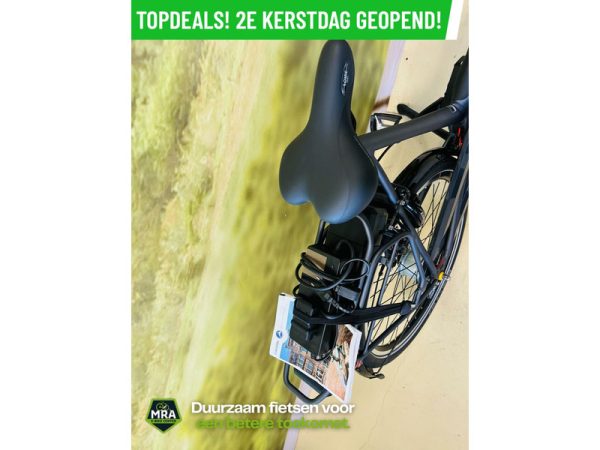 Gazelle - Afbeelding 2