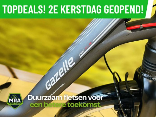 Gazelle - Afbeelding 3