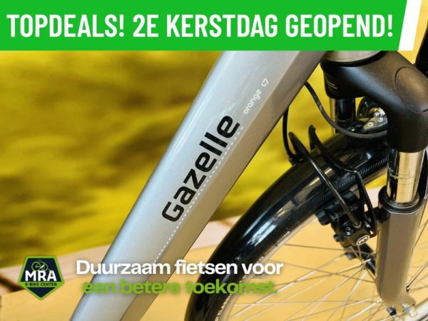 Gazelle - Afbeelding 2