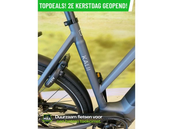 Van Dijck 3.0 Belt - Afbeelding 2