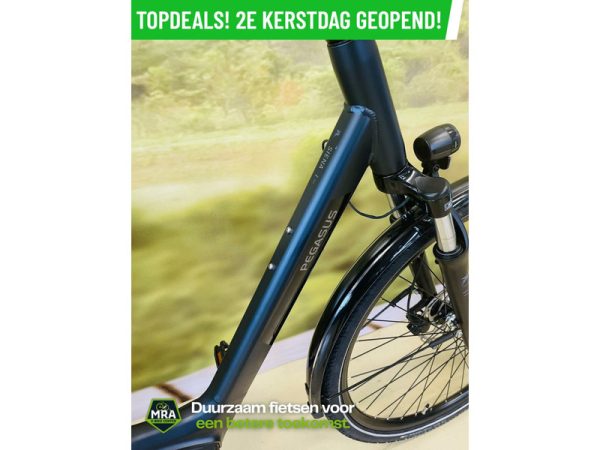 Pegasus Siena E7F Plus 2022 - Afbeelding 2