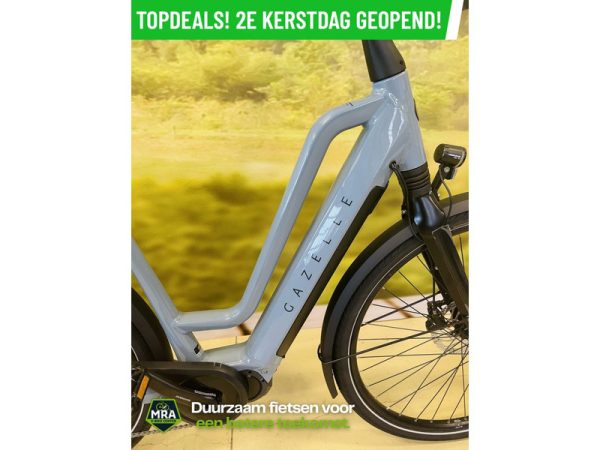 Gazelle - Afbeelding 2