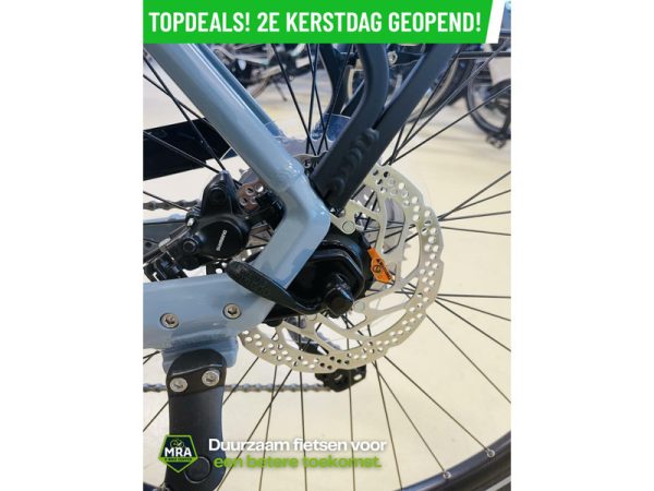 Gazelle - Afbeelding 7