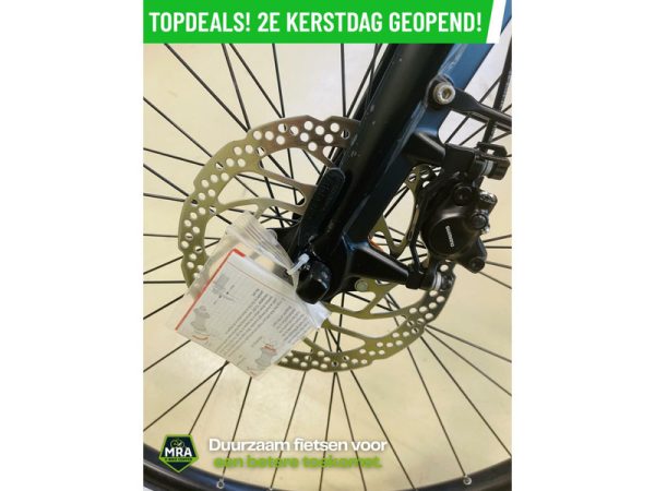 Gazelle - Afbeelding 8
