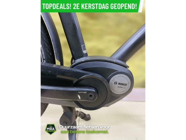 Gazelle - Afbeelding 2