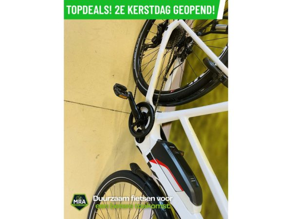 Koga Race S10 - Afbeelding 2