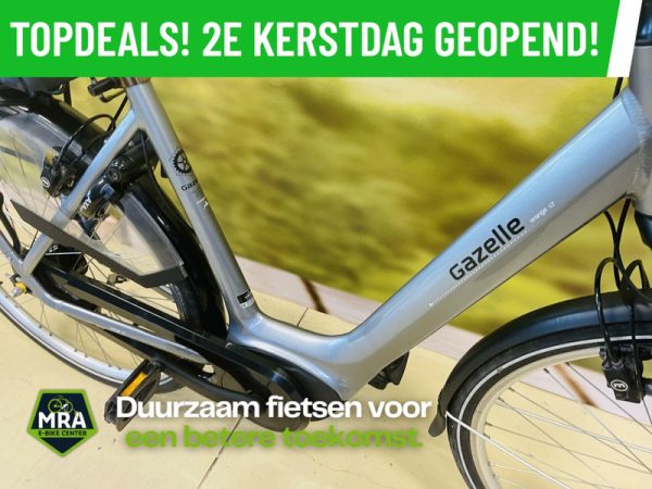 Gazelle - Afbeelding 2