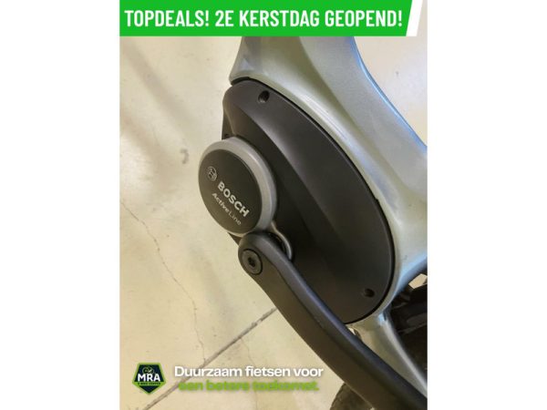 Gazelle - Afbeelding 4