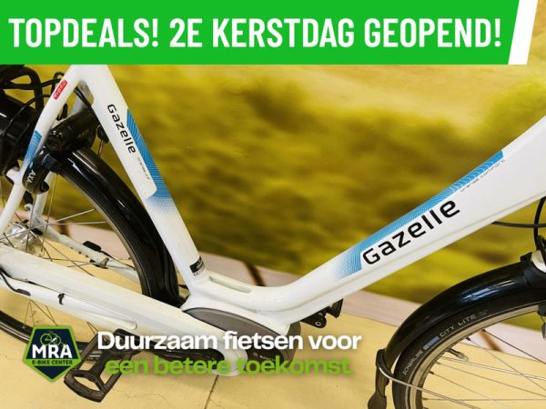 Gazelle - Afbeelding 4