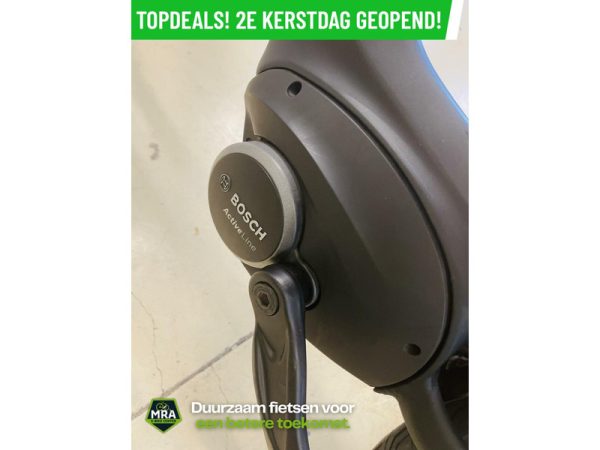 Gazelle - Afbeelding 5