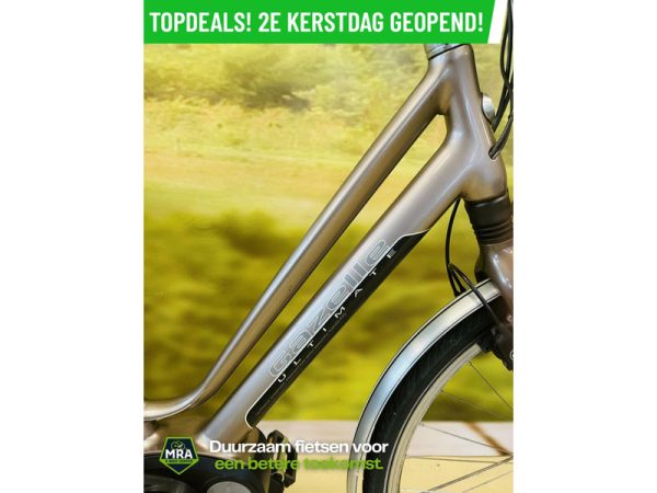 Gazelle - Afbeelding 2