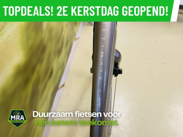 Gazelle - Afbeelding 3