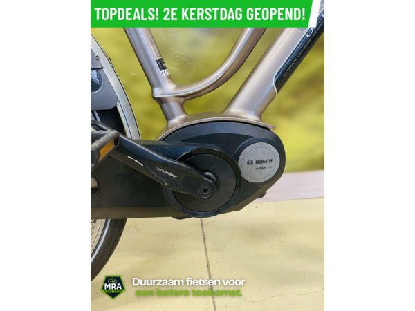 Gazelle - Afbeelding 5