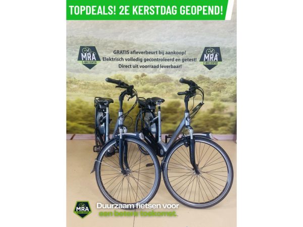 Gazelle - Afbeelding 2