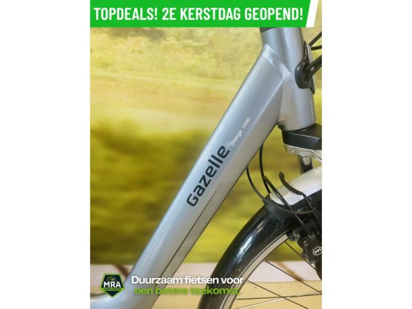 Gazelle - Afbeelding 3