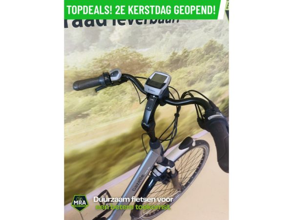 Gazelle - Afbeelding 4