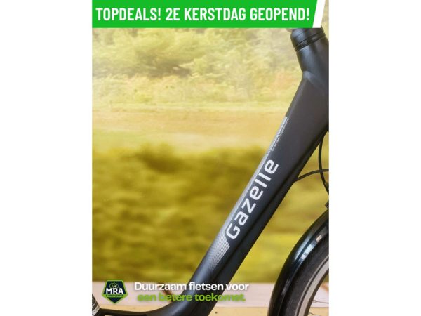 Gazelle - Afbeelding 2