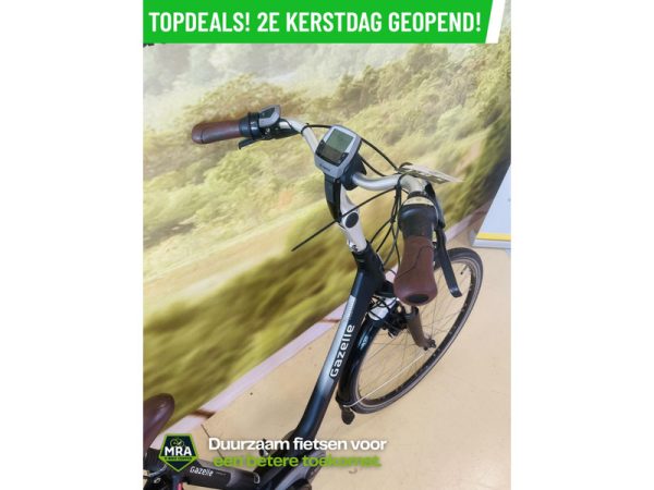 Gazelle - Afbeelding 3