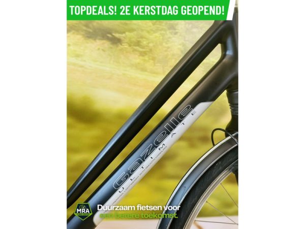 Gazelle - Afbeelding 2