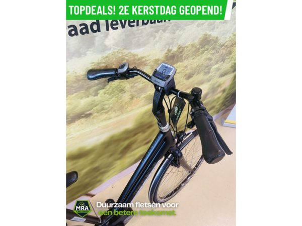 Gazelle - Afbeelding 3