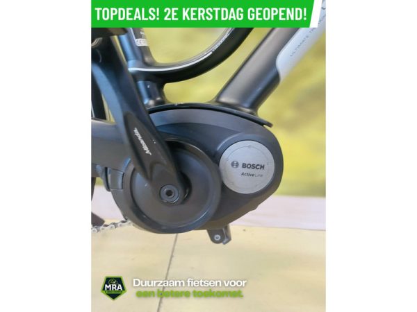 Gazelle - Afbeelding 5