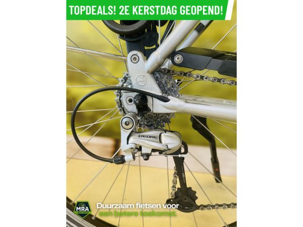 Gazelle - Afbeelding 6