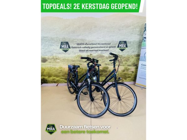 Gazelle - Afbeelding 3