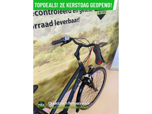 Gazelle - Afbeelding 4