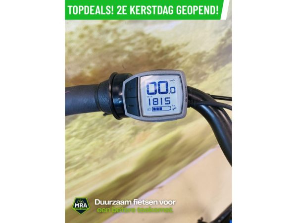 Gazelle - Afbeelding 5