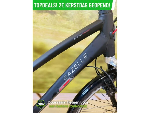 Gazelle - Afbeelding 6