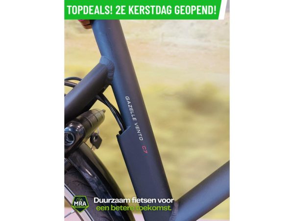 Gazelle - Afbeelding 7