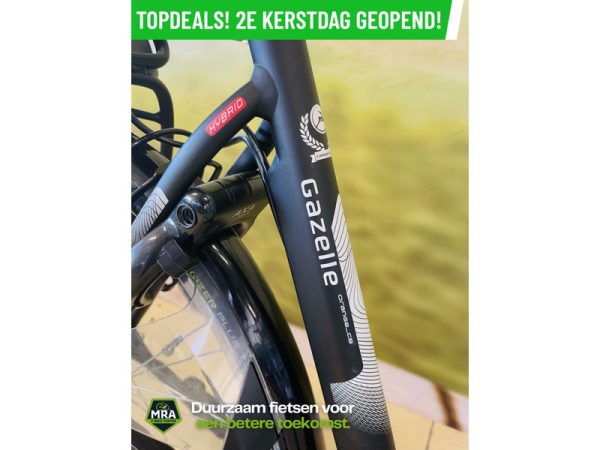 Gazelle - Afbeelding 4