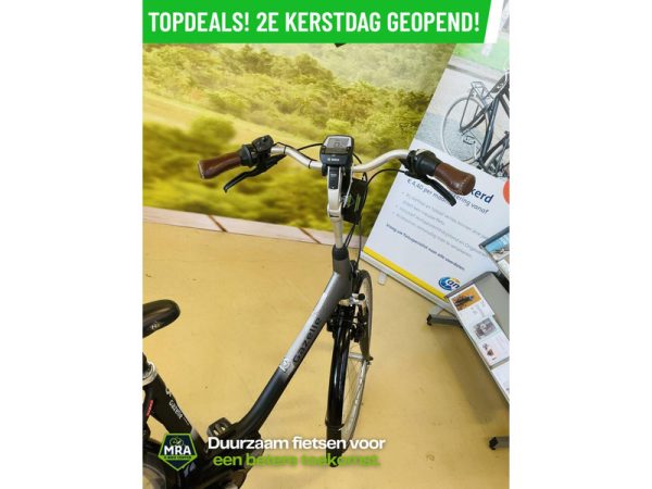 Gazelle - Afbeelding 5