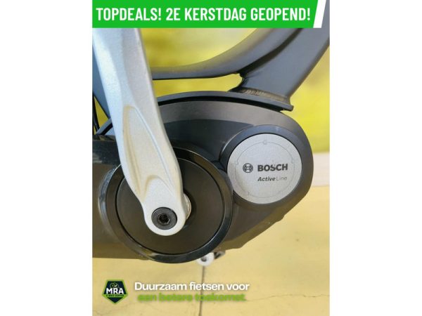 Gazelle - Afbeelding 7
