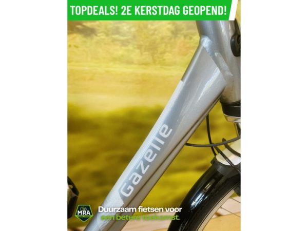 Gazelle - Afbeelding 3