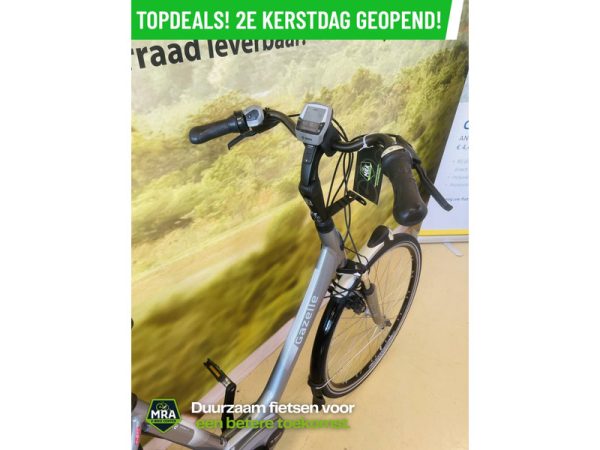 Gazelle - Afbeelding 4