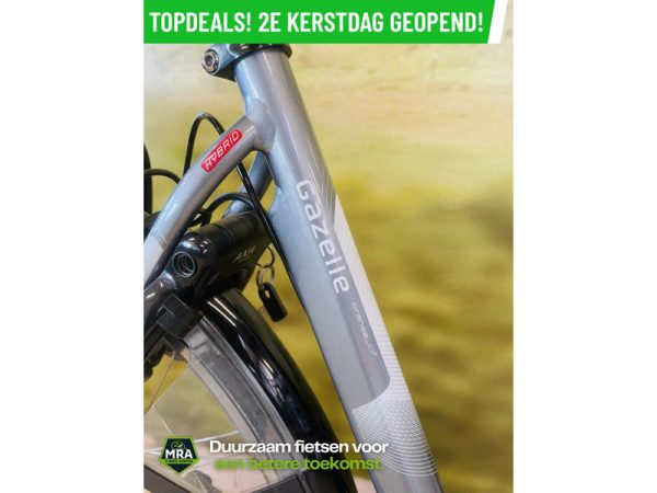 Gazelle - Afbeelding 5