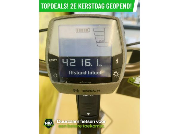 Gazelle - Afbeelding 6