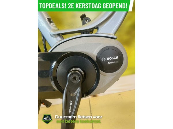 Gazelle - Afbeelding 7