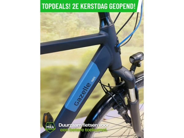 Gazelle - Afbeelding 3