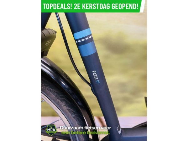Gazelle - Afbeelding 4