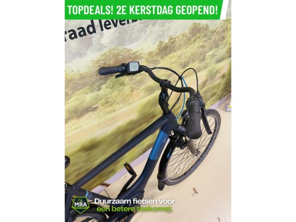 Gazelle - Afbeelding 5