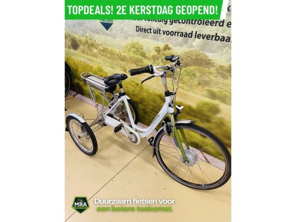 Gazelle - Afbeelding 3