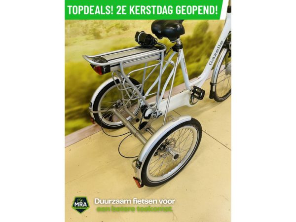 Gazelle - Afbeelding 4