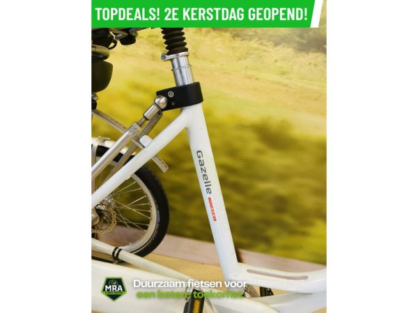 Gazelle - Afbeelding 5