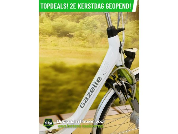 Gazelle - Afbeelding 6