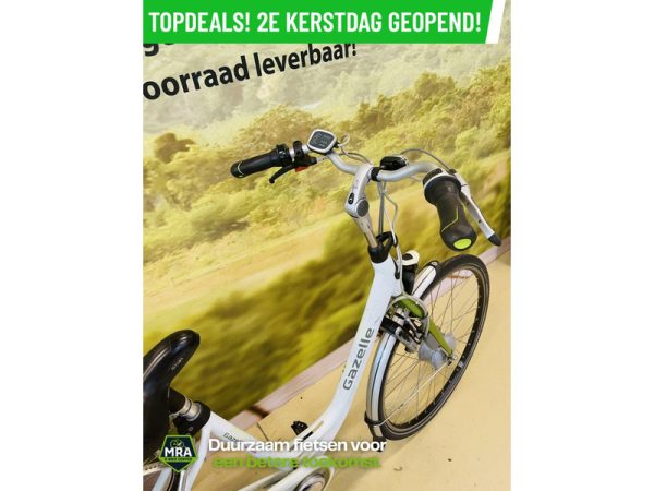 Gazelle - Afbeelding 7