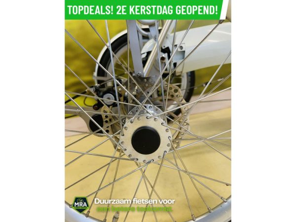 Gazelle - Afbeelding 8