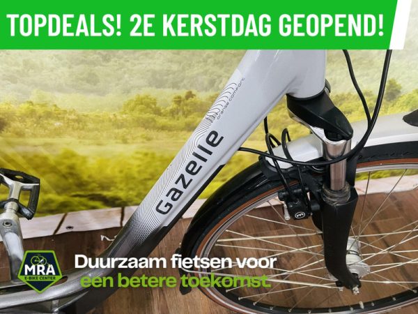 Gazelle - Afbeelding 3