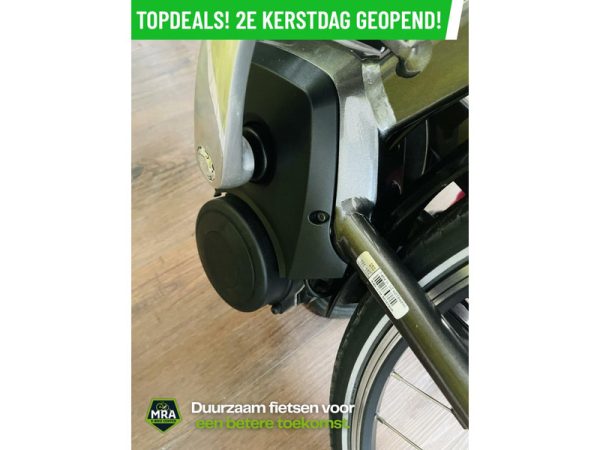 Gazelle - Afbeelding 5